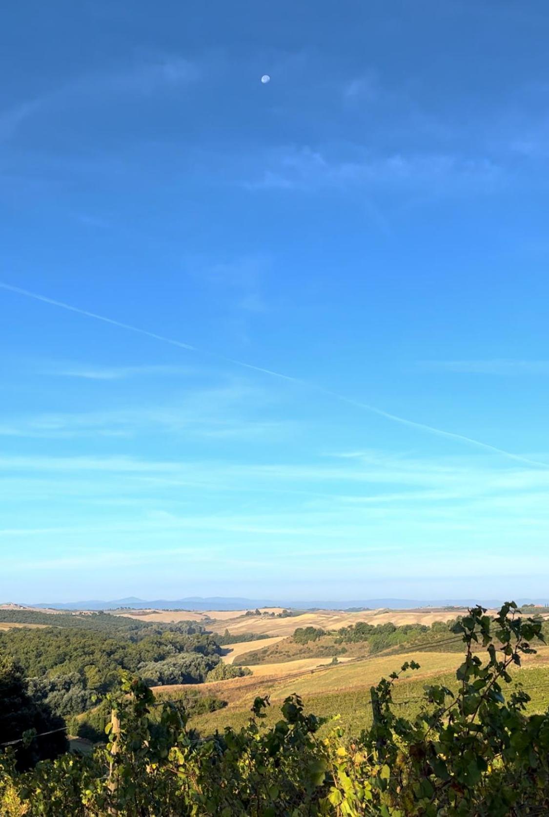 Podere Sole 特雷宽达 外观 照片