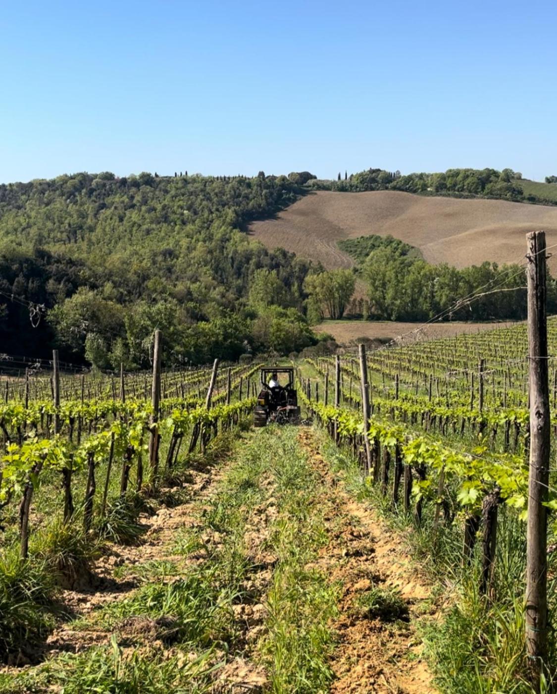 Podere Sole 特雷宽达 外观 照片