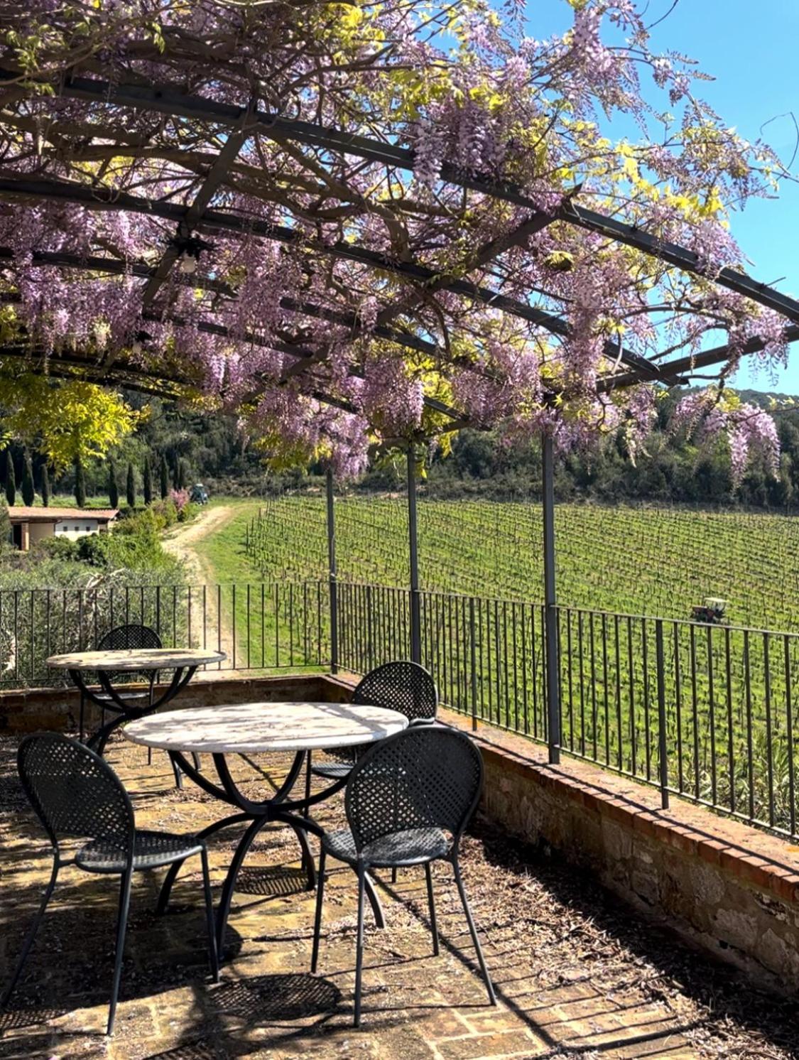 Podere Sole 特雷宽达 外观 照片